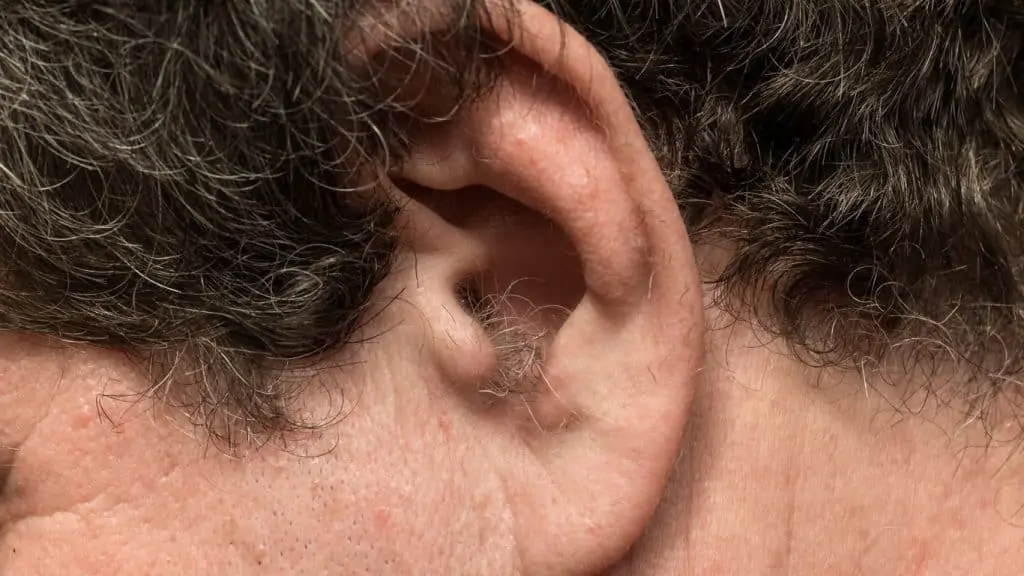 Eliminer les poils indésirables : l'épilation définitive des oreilles et du nez 3 media 1